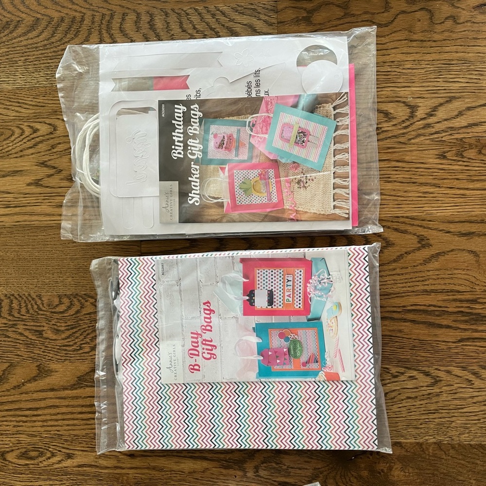 DIY Birthday Gift Bags Arts and Crafts